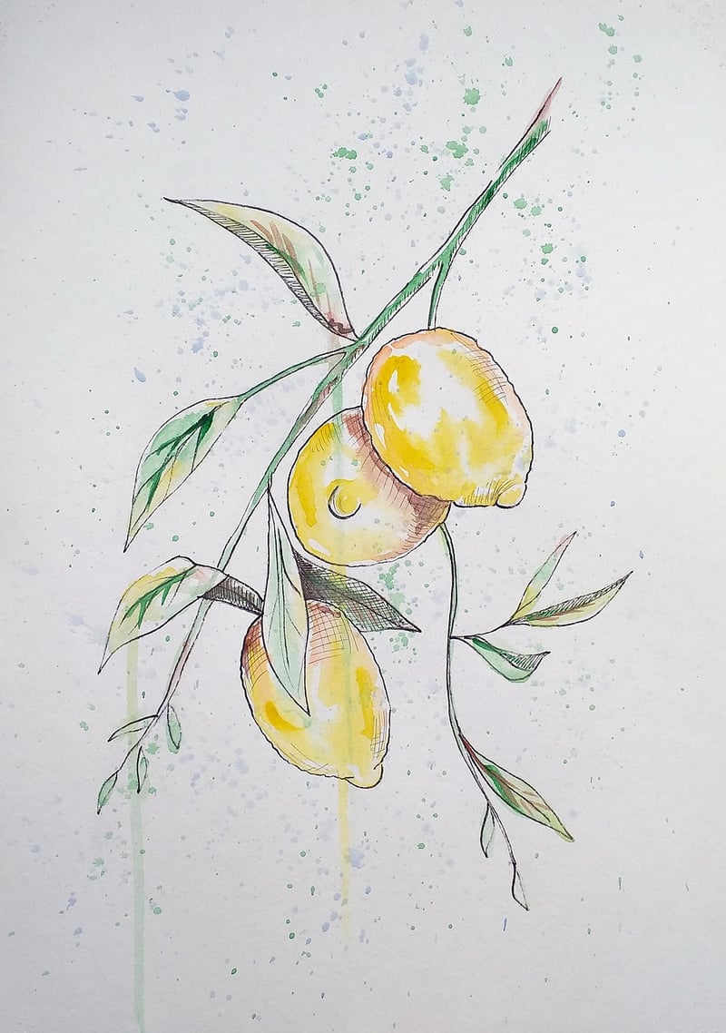 Botanical Illustration