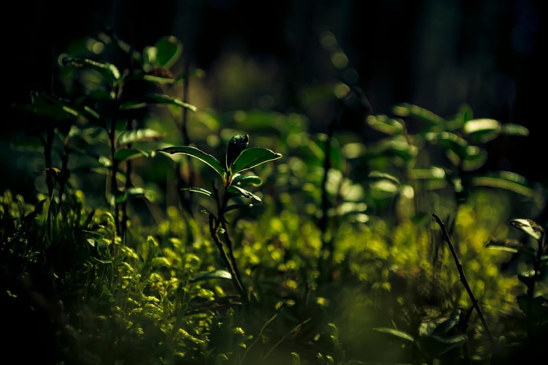Environment-Friendly Practices